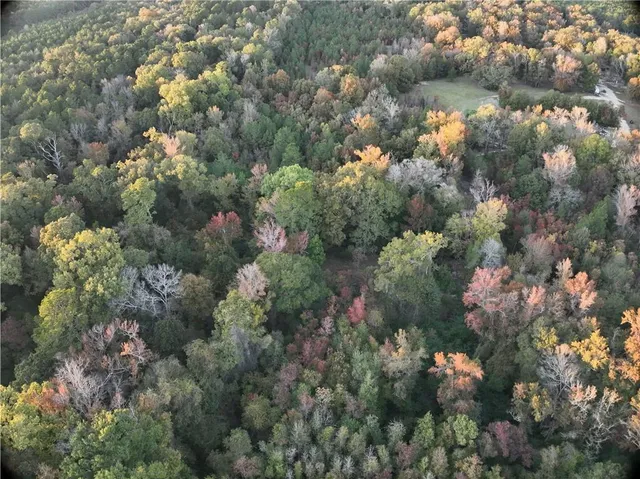 $77,500 | B Philadelphia Road, Deville, LA 71328