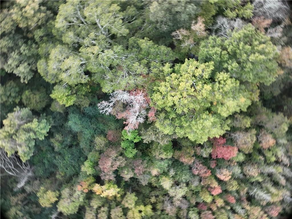 B Philadelphia Road Deville, LA 71328 - Photo 5 of 11