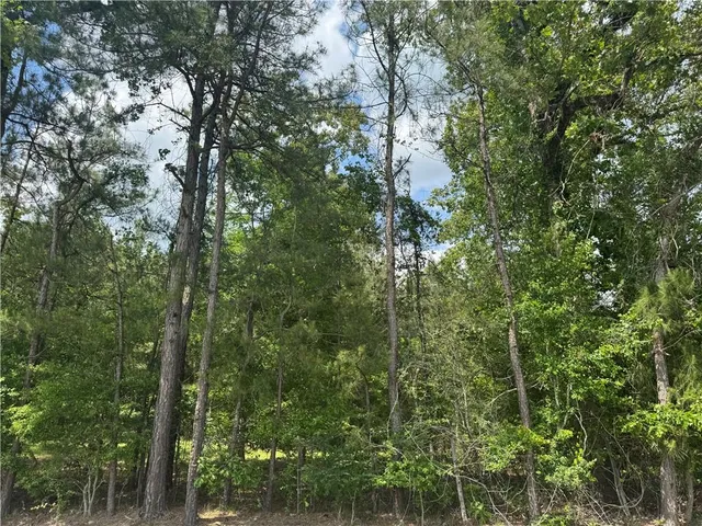 $77,500 | B Philadelphia Road, Deville, LA 71328