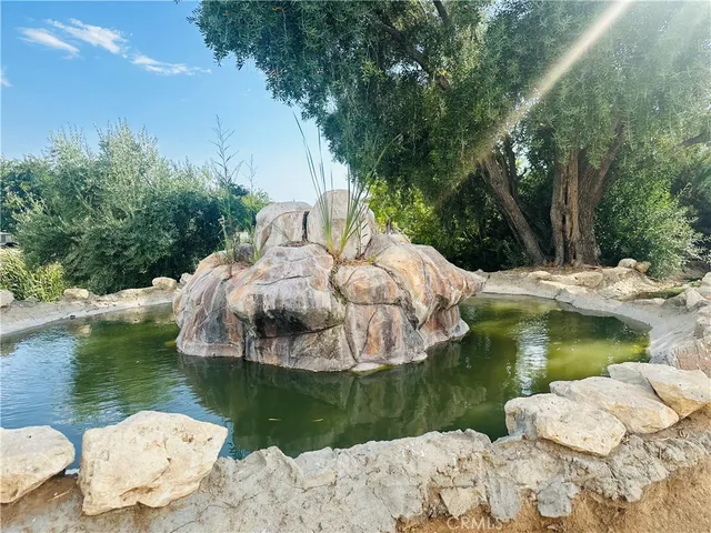 a view of a lake from a yard