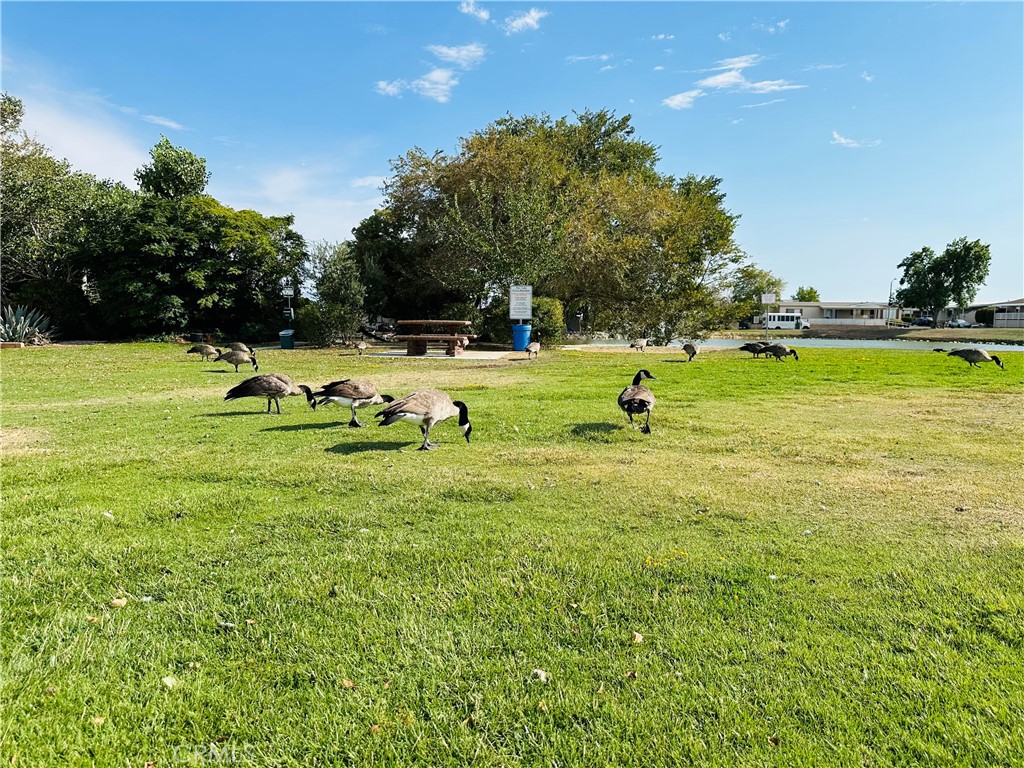20683 Waalew Road, Unit B145 Apple Valley, CA 92307 - Photo 28 of 32 a view of a park with large trees