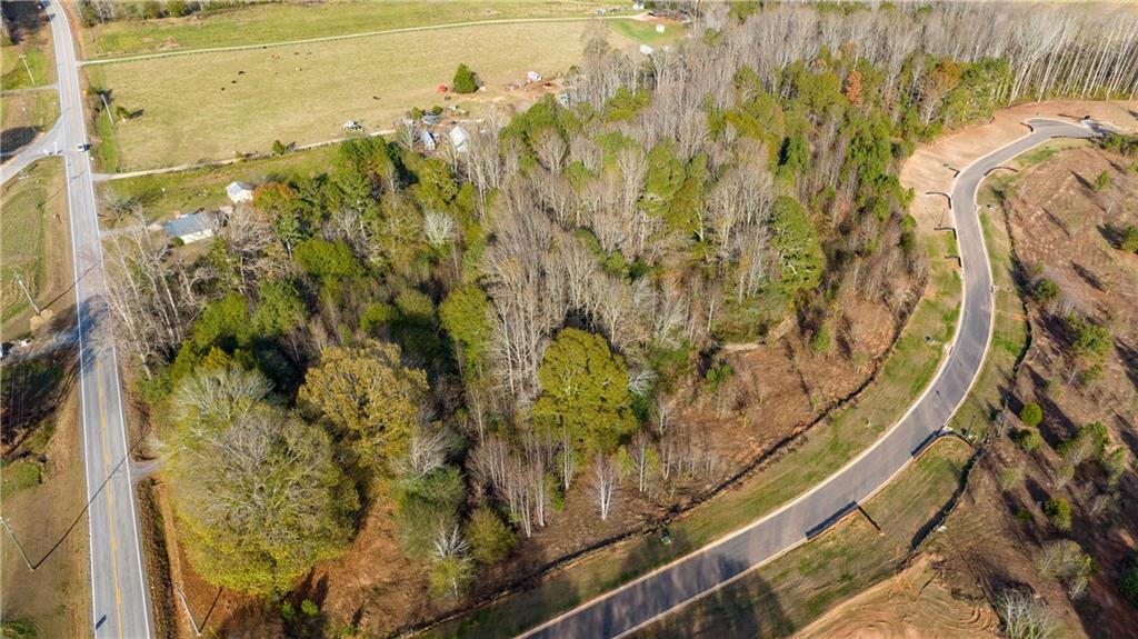 5409 Oak Manor Way Murrayville, GA 30564 - Photo 5 of 10