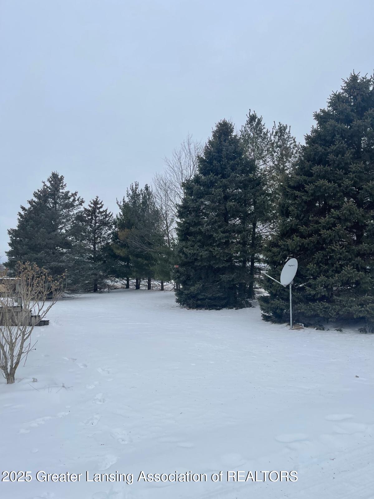 11173 Bennett Road Sumner, MI 48889 - Photo 47 of 56 11173 land3