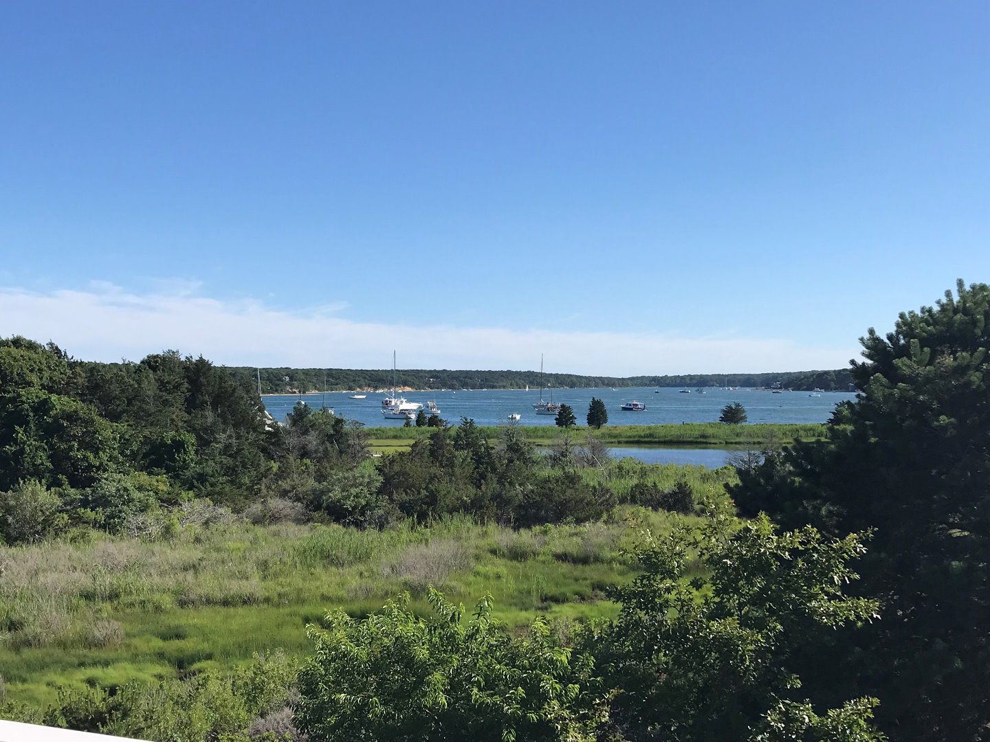 a view of a green field with lots of bushes