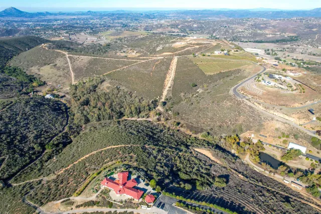 a view of a yard with plants and trees