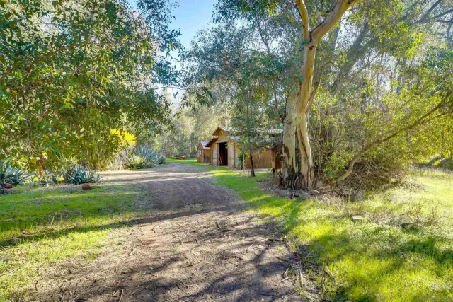 a view of a backyard