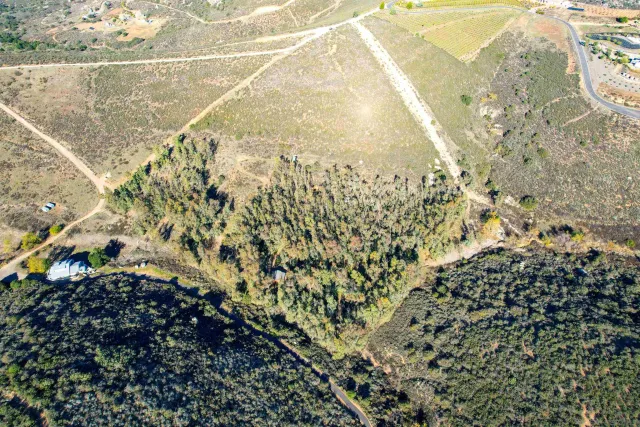 a view of a backyard with wooden fence