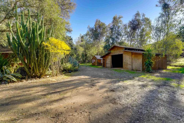 a view of a park with trees