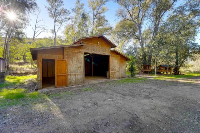 a view of a yard with plants