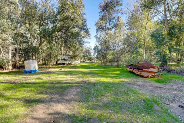 a view of a house with a yard and large tree