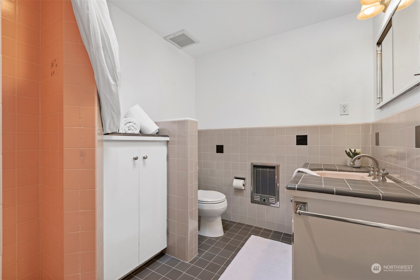 289 Briar Road Bellingham, WA 98225 - Photo 30 of 40 a bathroom with a sink a toilet and a mirror