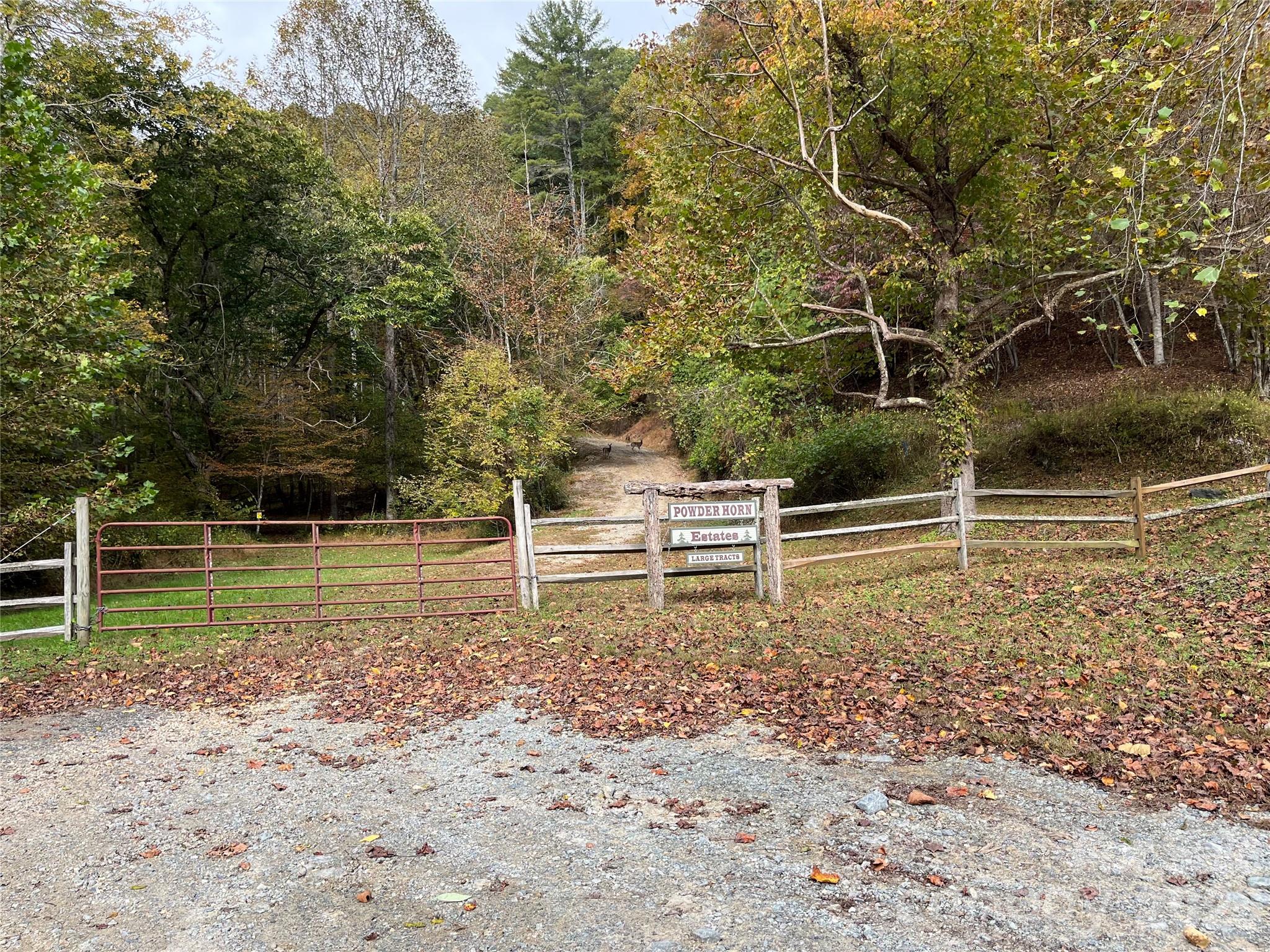 Tbd Tbd Powder Horn Road Deep Gap, NC 28618 - Photo 11 of 38