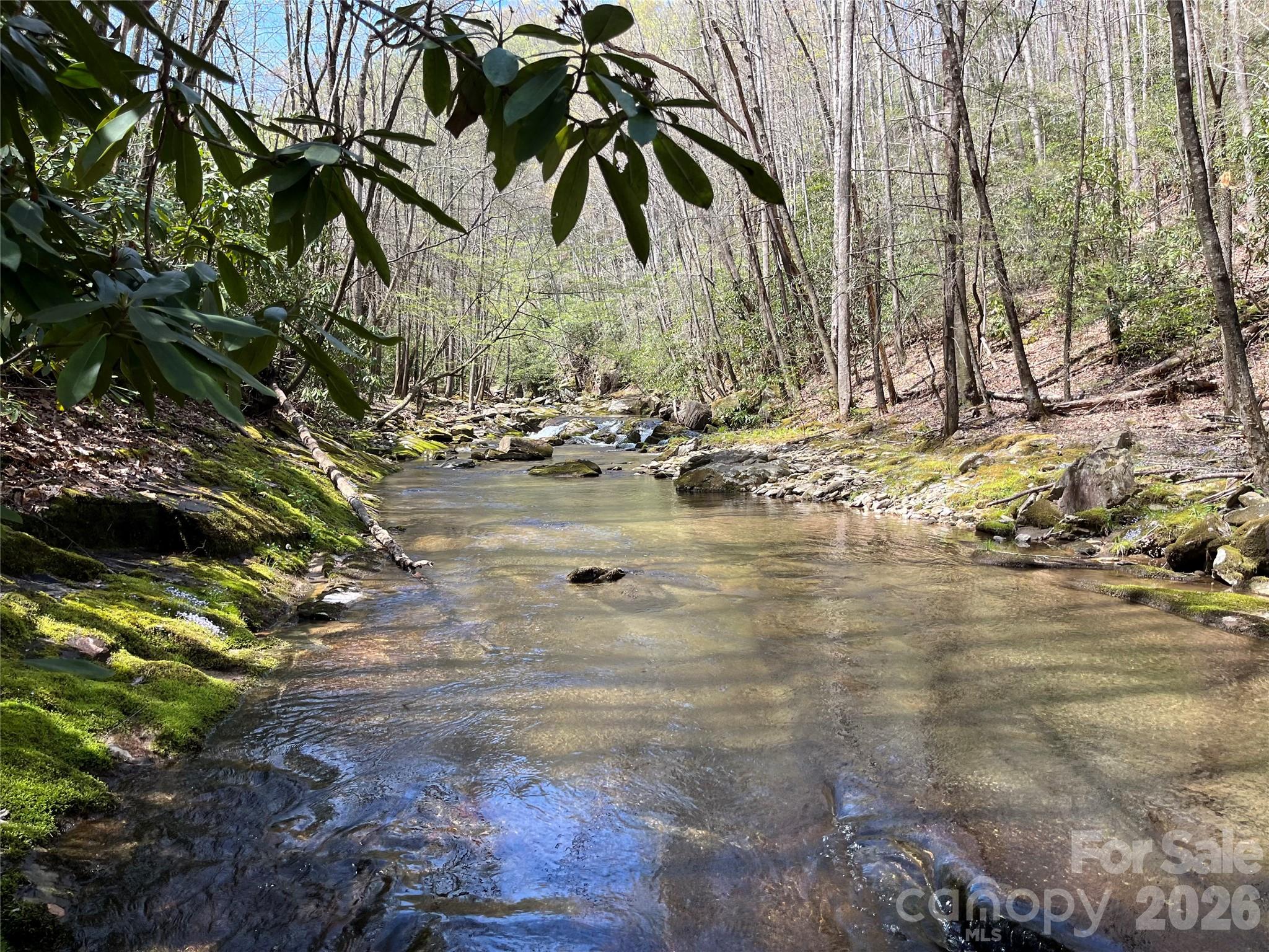 Tbd Tbd Powder Horn Road Deep Gap, NC 28618 - Photo 15 of 38
