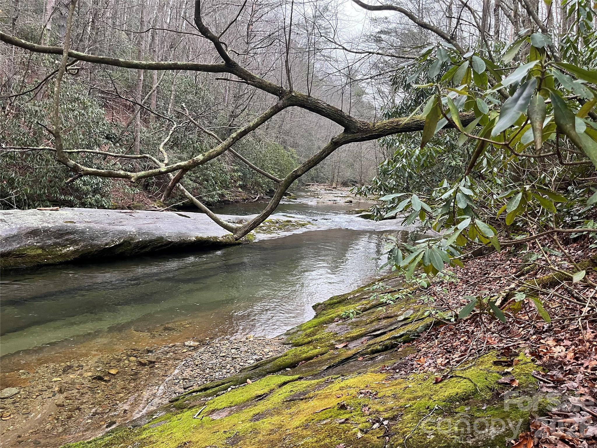 Tbd Tbd Powder Horn Road Deep Gap, NC 28618 - Photo 5 of 38