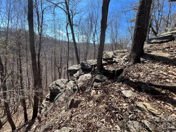 $975,000 | Tbd Tbd Powder Horn Road, Deep Gap, NC 28618