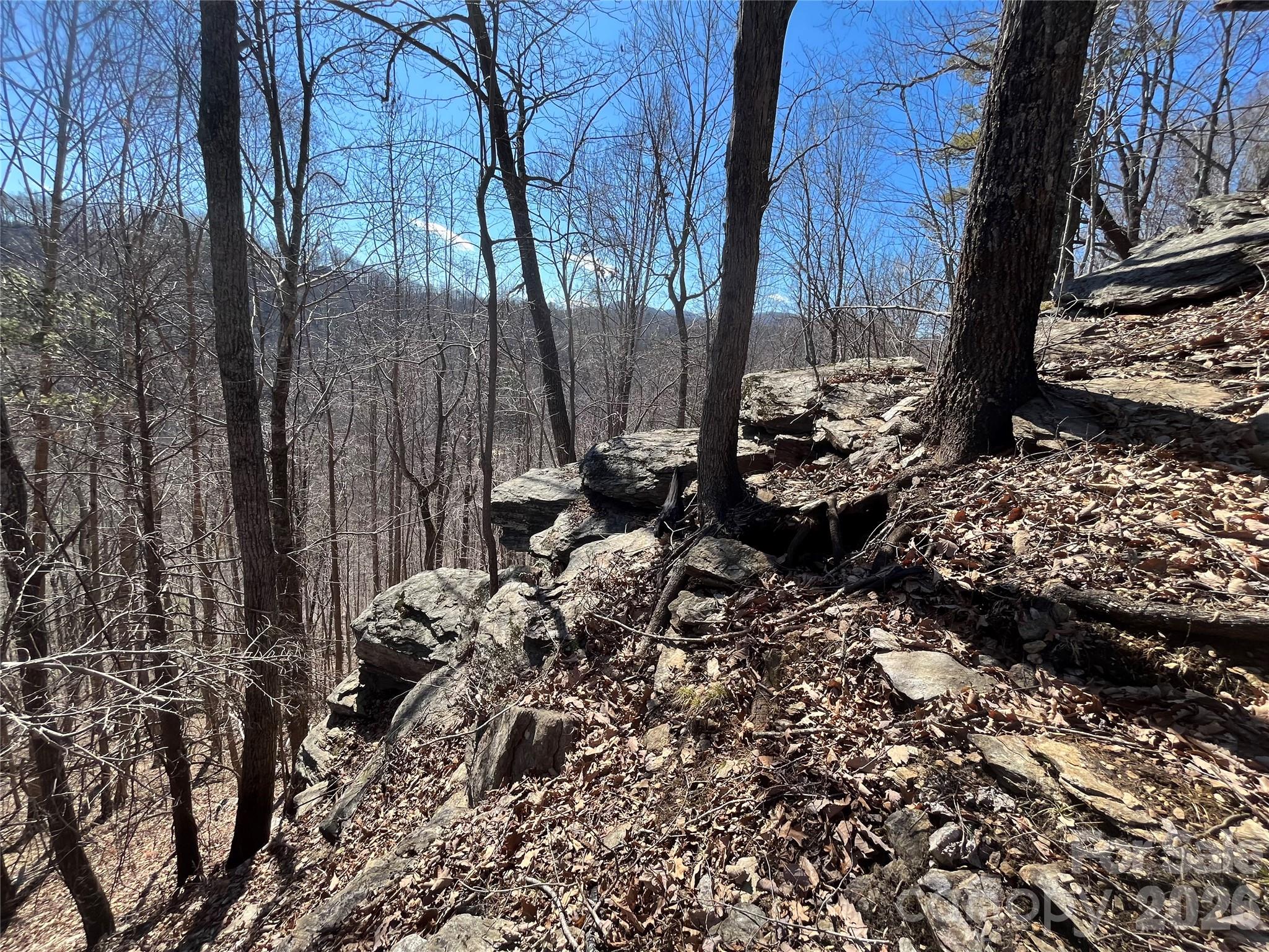 Tbd Tbd Powder Horn Road Deep Gap, NC 28618 - Photo 7 of 38