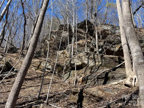 $975,000 | Tbd Tbd Powder Horn Road, Deep Gap, NC 28618