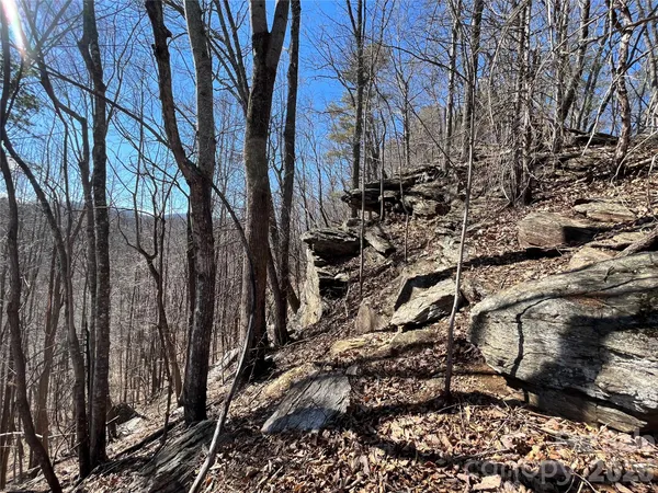 $975,000 | Tbd Tbd Powder Horn Road, Deep Gap, NC 28618