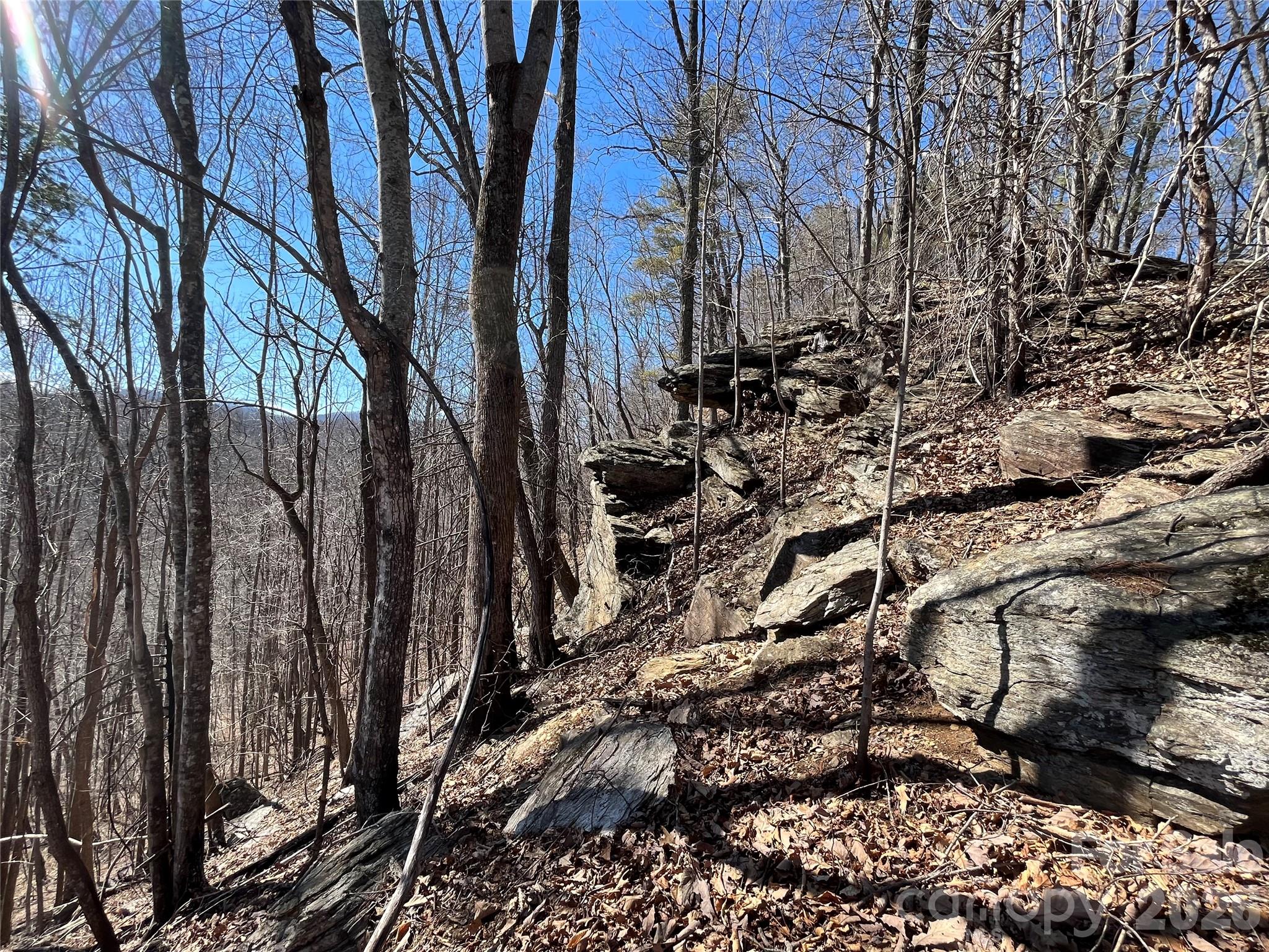 Tbd Tbd Powder Horn Road Deep Gap, NC 28618 - Photo 10 of 38