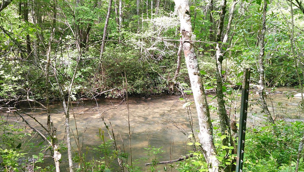 Lot 9 Mcdonald Road Murphy, NC 28906 - Photo 3 of 12