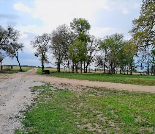 a view of park with trees