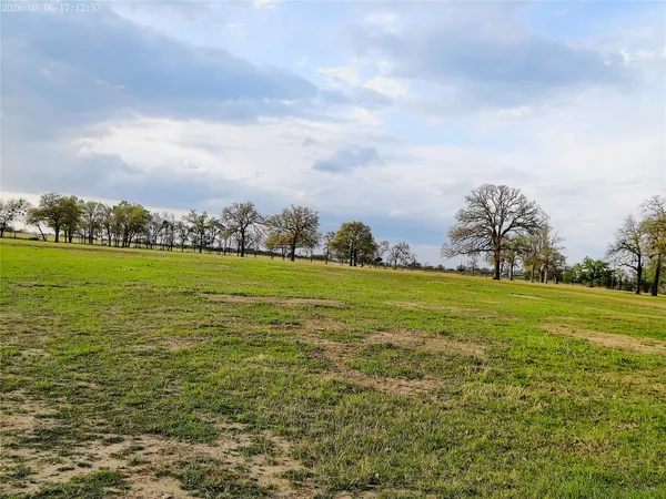 a view of a field with trees in the background