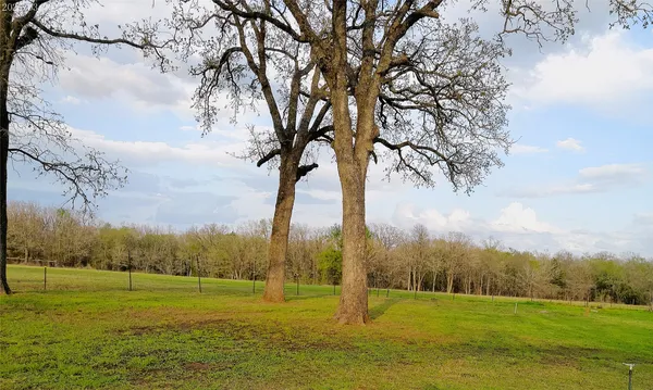 a view of a park
