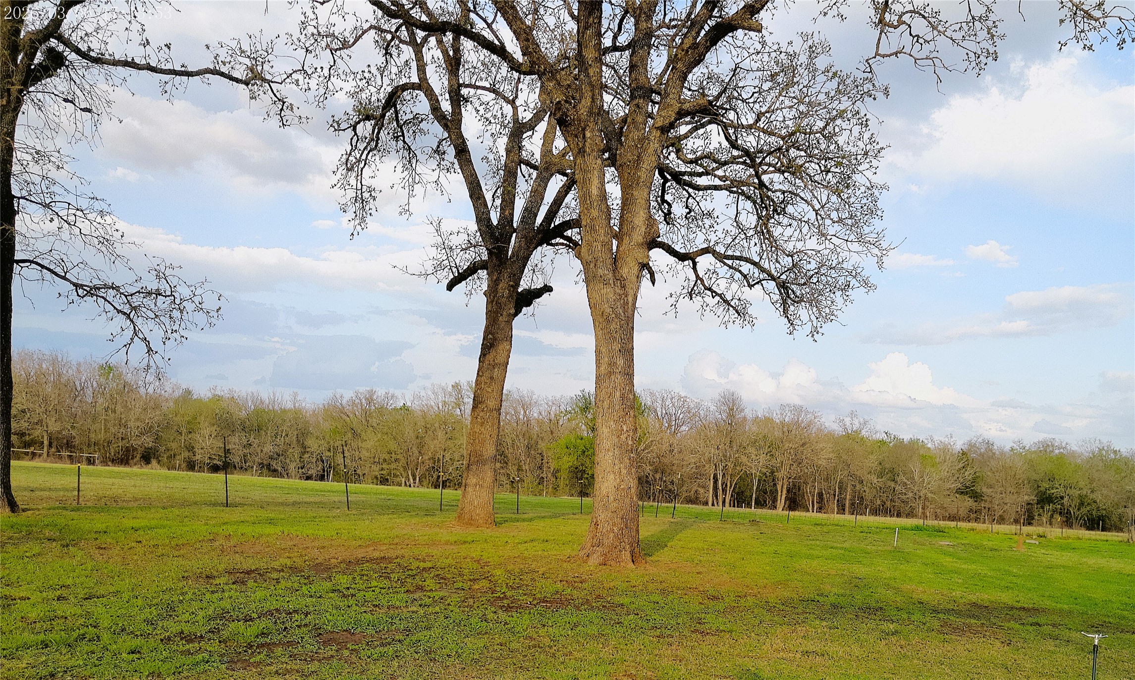 1042 Los Ranchitos Road Cameron, TX 76520 - Photo 27 of 40 a view of an ocean with a large tree