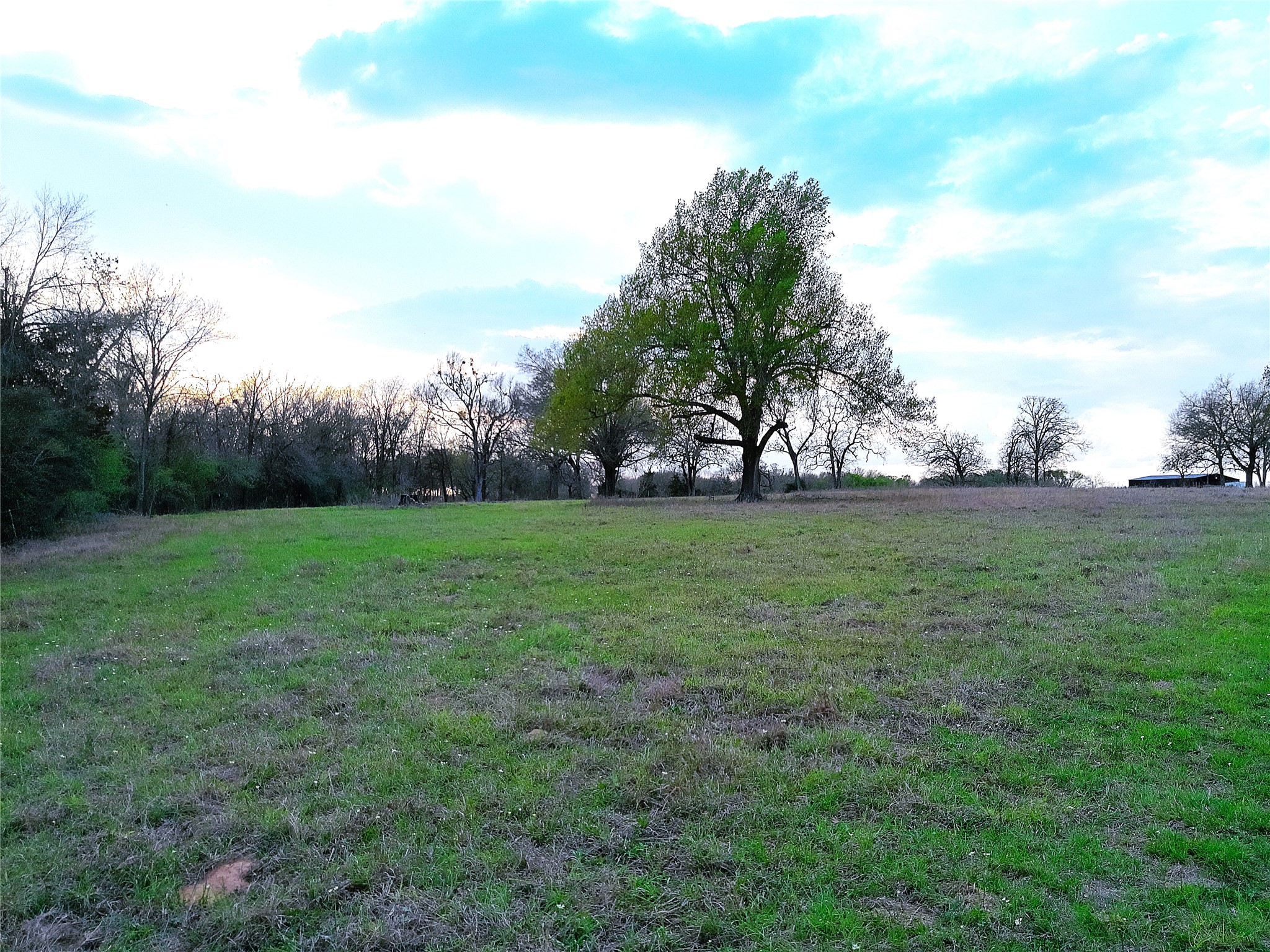 1042 Los Ranchitos Road Cameron, TX 76520 - Photo 29 of 40 a view of a grassy field