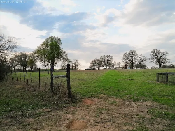 a view of a field