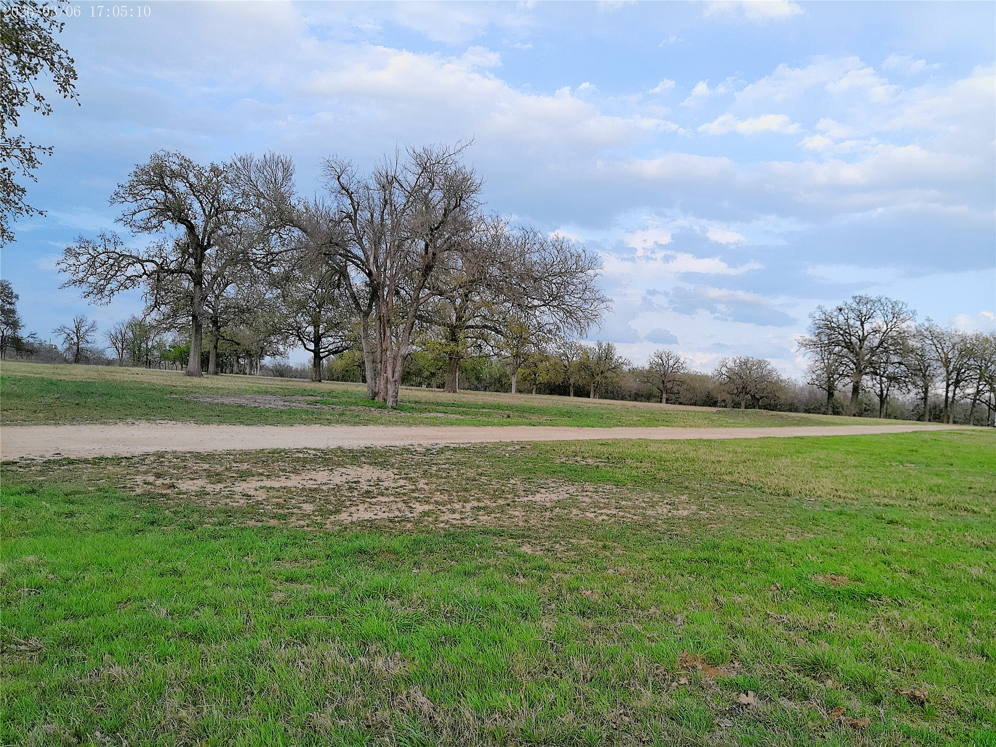1042 Los Ranchitos Road Cameron, TX 76520 - Photo 6 of 40 a view of a field with trees in the background