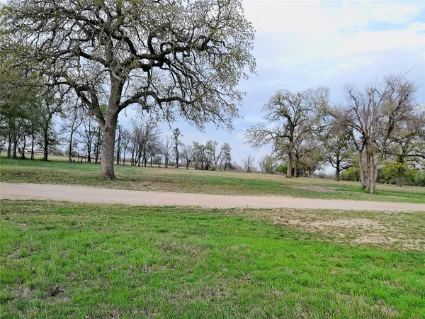 a view of a park