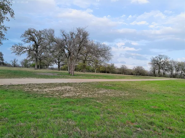 a view of a field with trees in the background