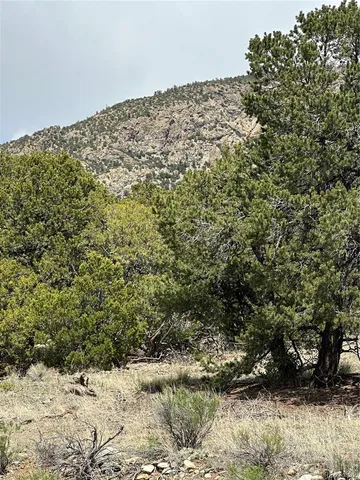 $17,500 | 105 Crosstimber Lane, Mosca, CO 81146