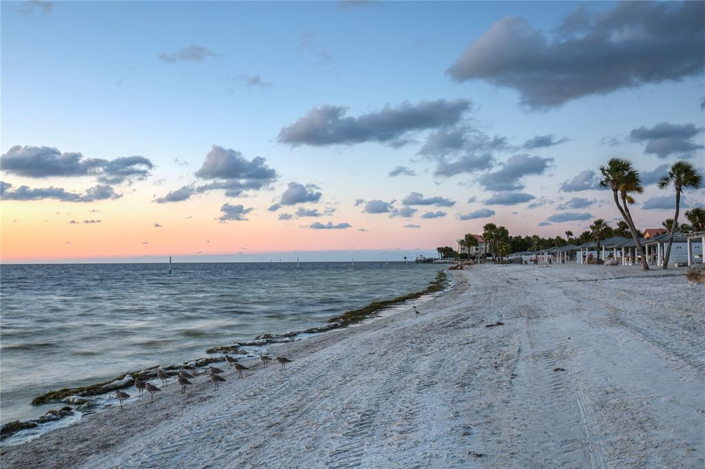 4932 Ilener Street New Port Richey, FL 34652 - Photo 32 of 38 a view of beach and ocean