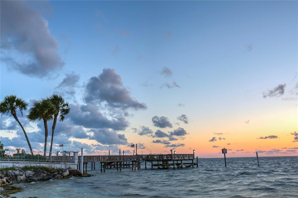 4932 Ilener Street New Port Richey, FL 34652 - Photo 33 of 38 a view of a lake