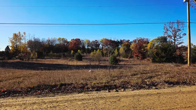 $57,000 | East Howard City Edmore Road, Vestaburg, MI 48891