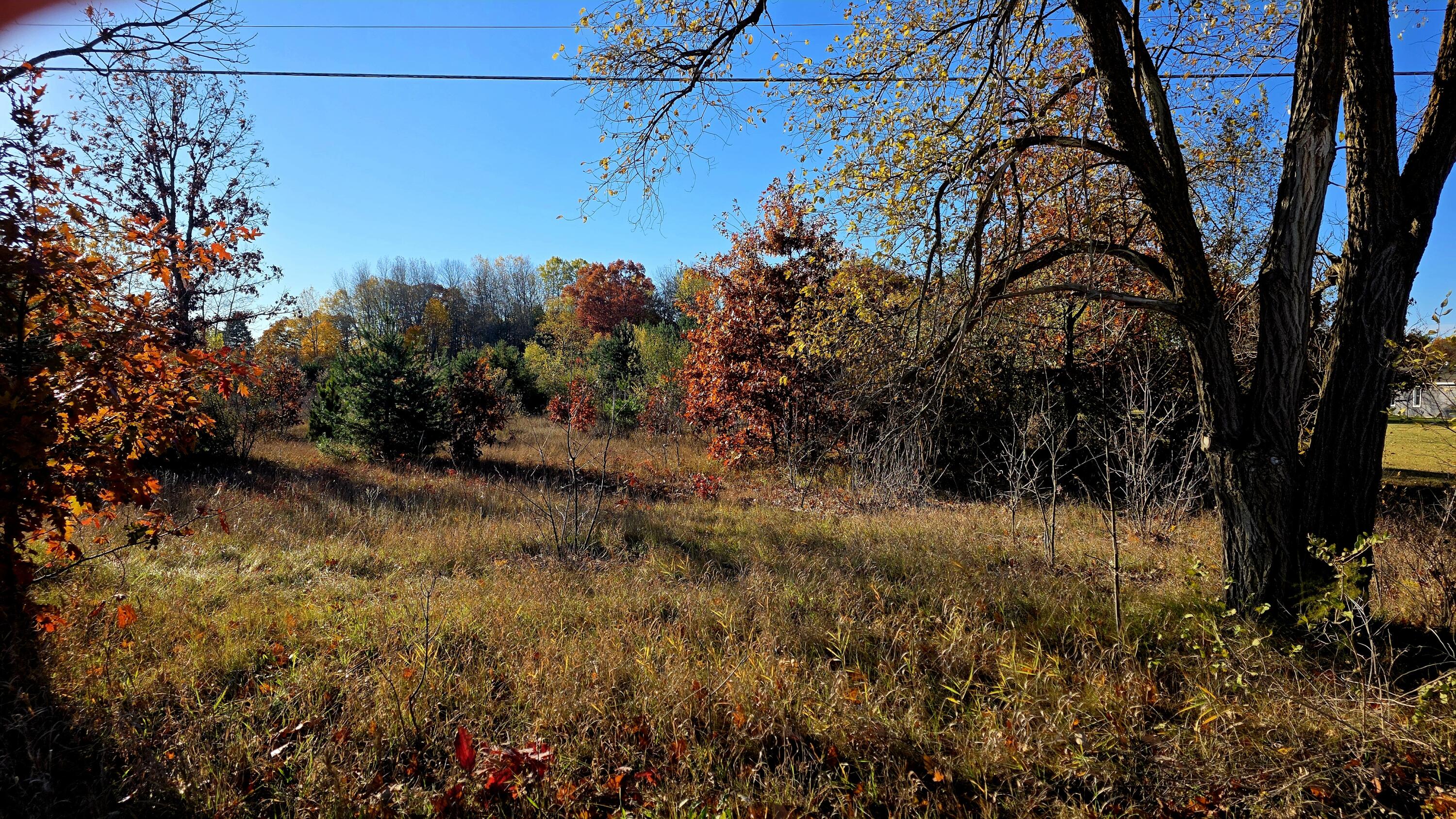 East Howard City Edmore Road Vestaburg, MI 48891 - Photo 7 of 8 20251104_090112