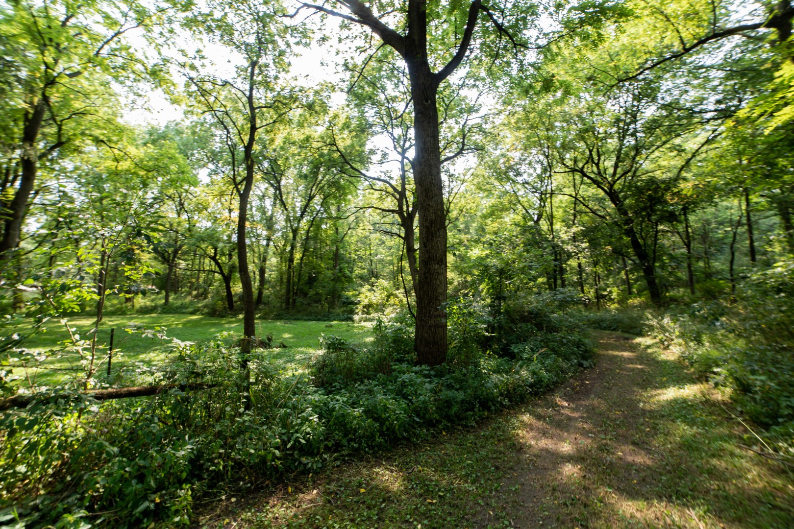 4994 North Brookville Road Forreston, IL 61030 - Photo 11 of 45 a backyard of a house with lots of green space