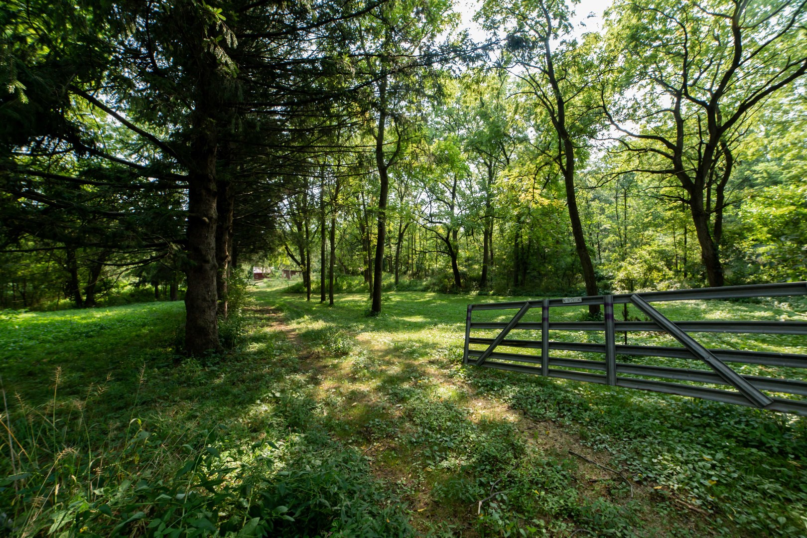 4994 North Brookville Road Forreston, IL 61030 - Photo 12 of 45 a view of park with trees