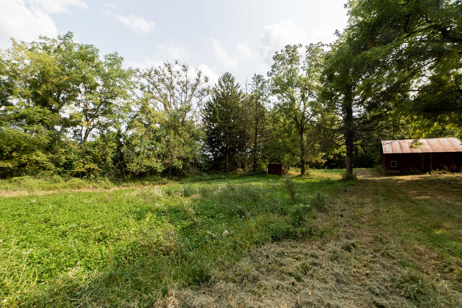 4994 North Brookville Road Forreston, IL 61030 - Photo 13 of 45 a view of a yard with a tree