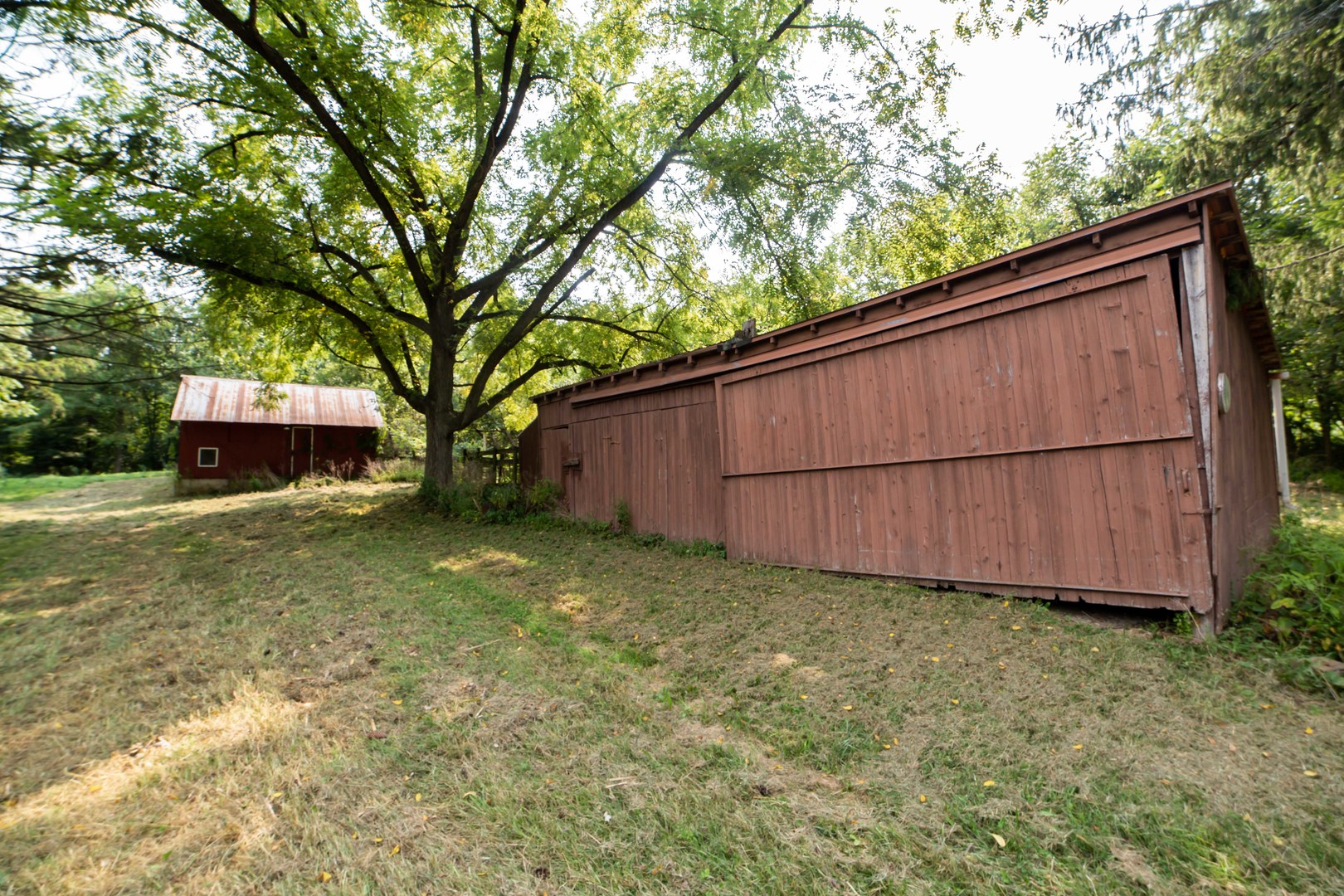 4994 North Brookville Road Forreston, IL 61030 - Photo 14 of 45 a view of backyard with green space