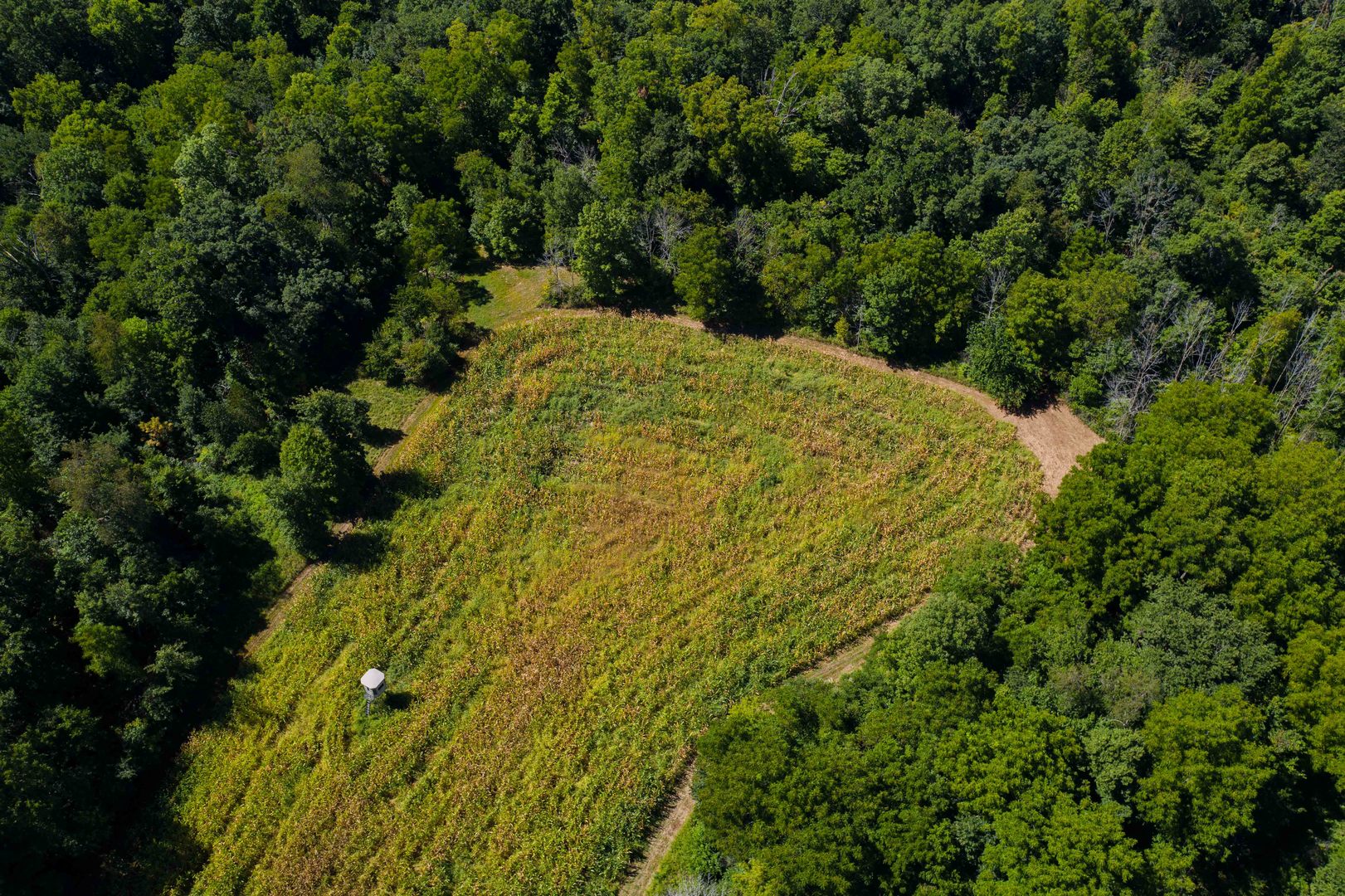 4994 North Brookville Road Forreston, IL 61030 - Photo 5 of 45 a view of a yard