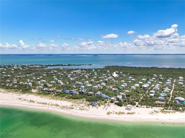 a view of a room with lots of trees