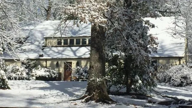 a front view of a house with a tree
