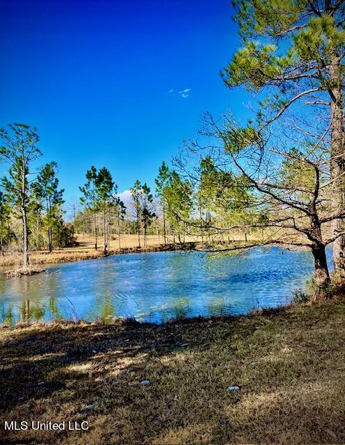 15429 Indian Fork Road Vancleave, MS 39565 - Photo 22 of 63 3rd Pond Area