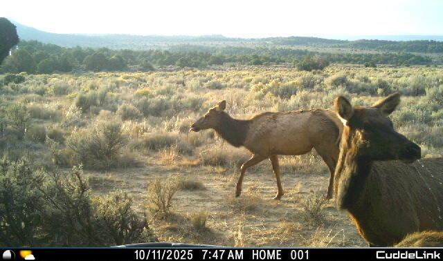 South And Ranch West Cebolla, NM 87518 - Photo 9 of 42 Gallery Image 9