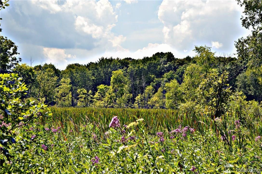 4255 Walsh Road Whitmore Lake, MI 48189 - Photo 47 of 50 DSC_0279.jpg