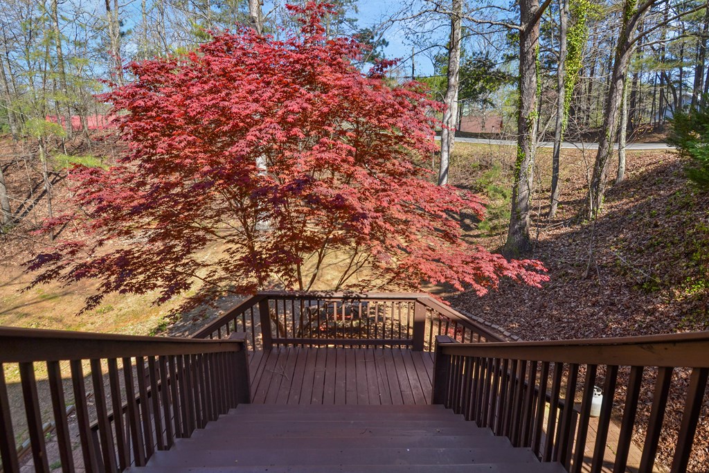 24 Lemmon Lane Ellijay, GA 30540 - Photo 7 of 34