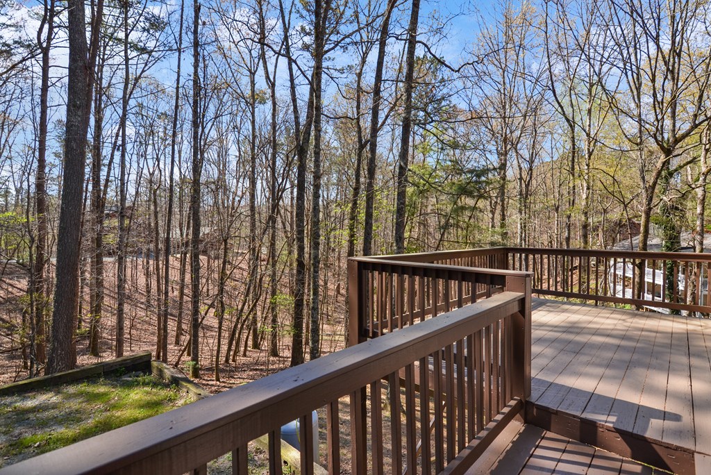 24 Lemmon Lane Ellijay, GA 30540 - Photo 8 of 34